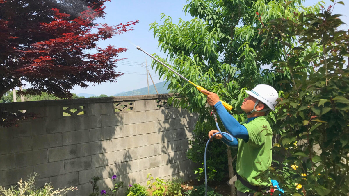 庭のメンテナンス作業
