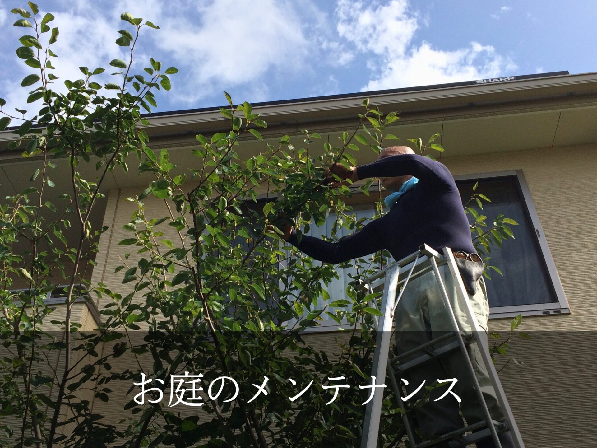 お庭のメンテナンス
