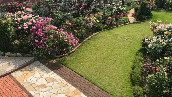 和風の庭からローズガーデンへ　愛情が映えるお庭に　下妻市K様邸